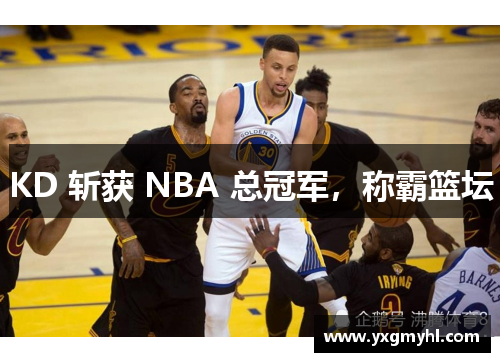 KD 斩获 NBA 总冠军，称霸篮坛